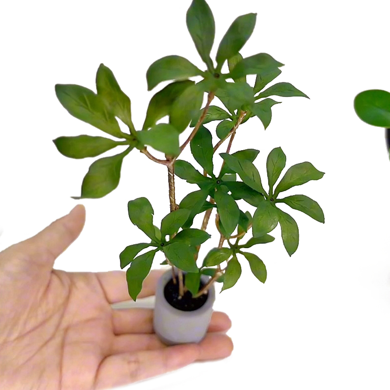 Bonsai Garden Europe - บ้านตุ๊กตา1:6กระถางต้นไม้โมเดลสีเขียวใบกระถางต้นไม้บอนไซประดับสวนอุปกรณ์ตกแต่งบ้านตุ๊กตา