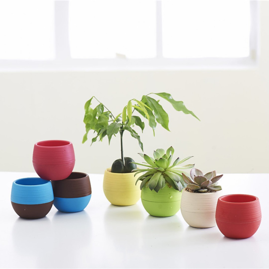 Bonsai Garden Europe - สวนมินิดอกไม้พลาสติกหม้อ Nursery Pots, Home Office Decor