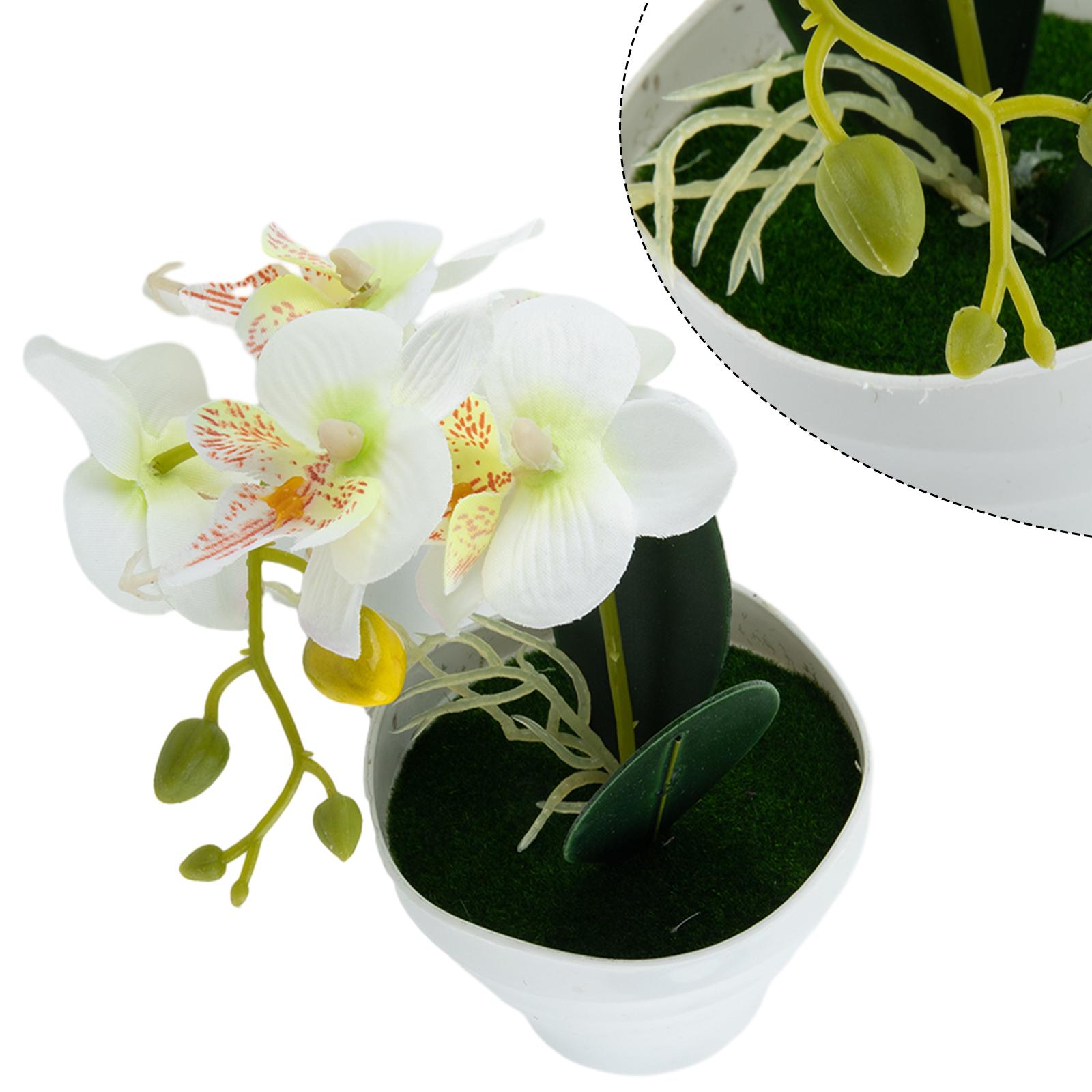 ของตกแต่งบ้านและโต๊ะทำงาน ต้นไ - Bonsai Garden And Cafe บทวิจารณ์และราคา
