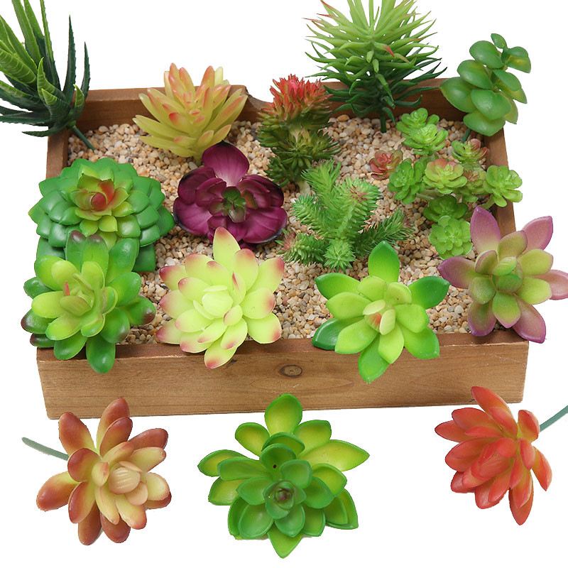 2021ประดิษฐ์ Succulents พืชตกแ - Bonsai Garden Mini บทวิจารณ์และราคา