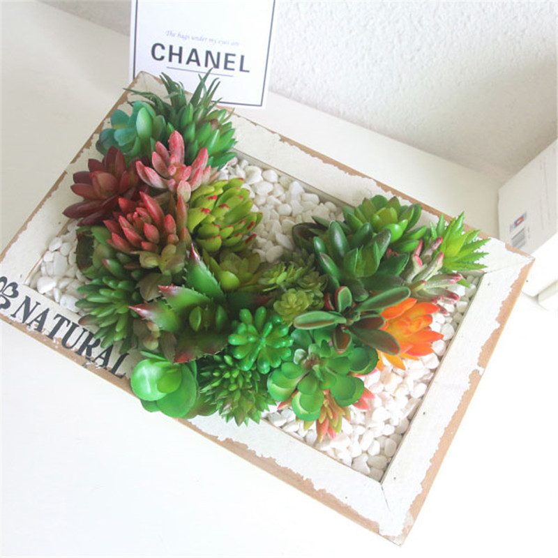 2021ประดิษฐ์ Succulents พืชตกแ - Bonsai Garden Mini บทวิจารณ์และราคา
