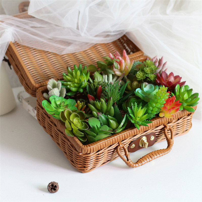 2021ประดิษฐ์ Succulents พืชตกแ - Bonsai Garden Mini บทวิจารณ์และราคา