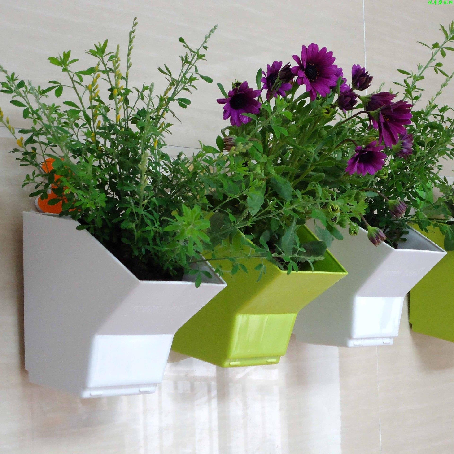 2 ชิ้นแขวนผนังดอกไม้หม้อสวนดอก - Bonsai Vertical Garden บทวิจารณ์และราคา