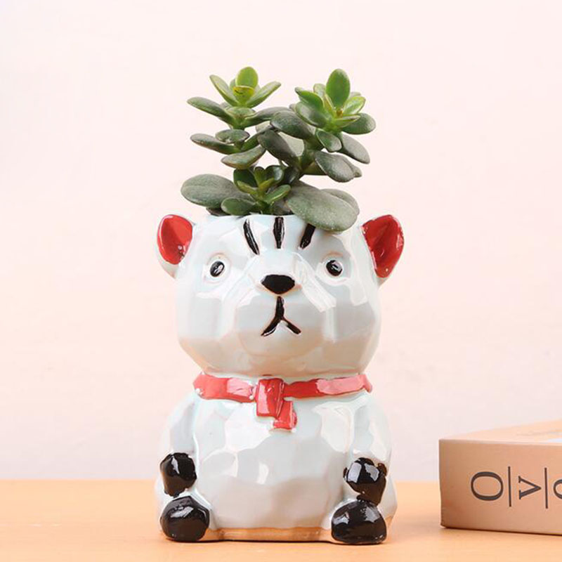 แจกันบอนไซลายการ์ตูนรูปสัตว์ขอ - Bonsai Garden Europe บทวิจารณ์และราคา