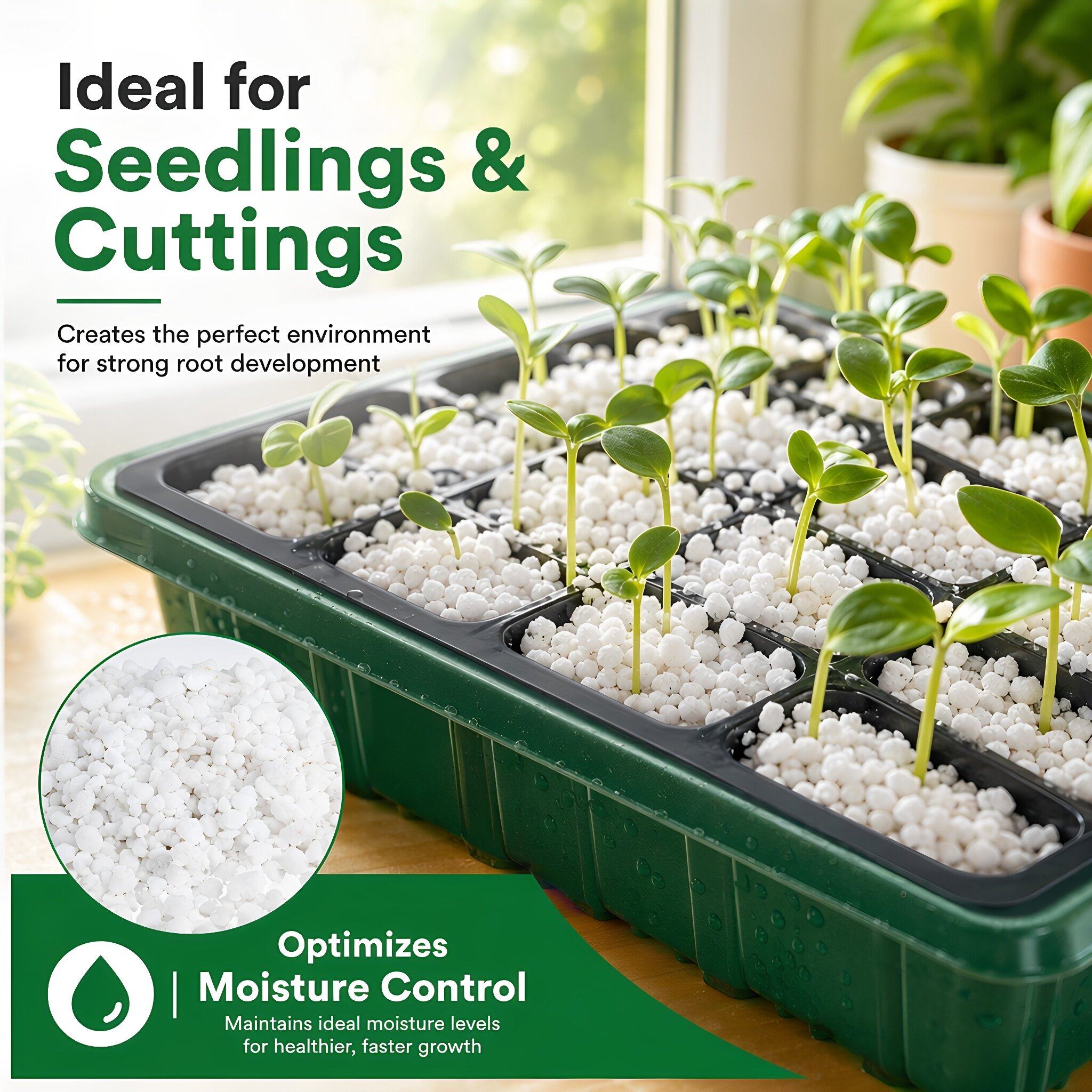 เพอร์ไลต์สำหรับงานสวน 5 ควอร์ต - Horticulture Soil Perlite บทวิจารณ์และราคา