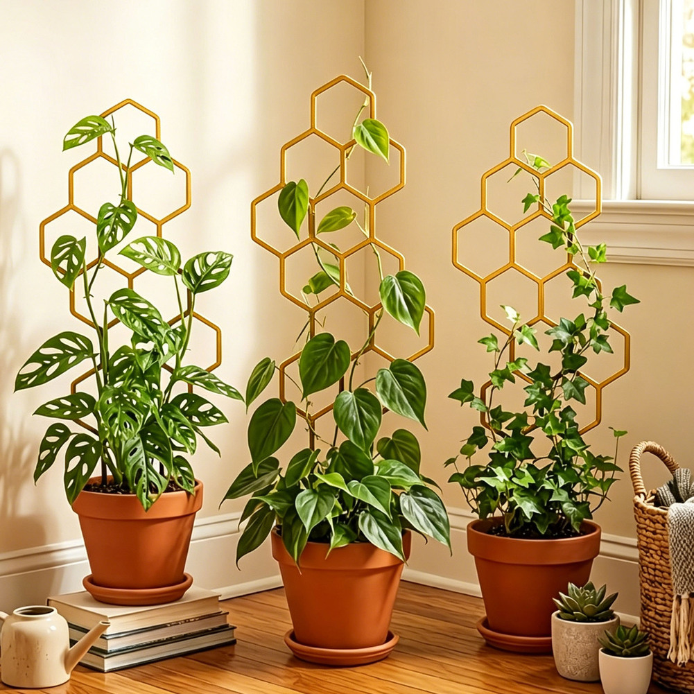 โครงปลูกต้นไม้ทรงหกเหลี่ยมแบบส - Bonsai Vertical Garden บทวิจารณ์และราคา