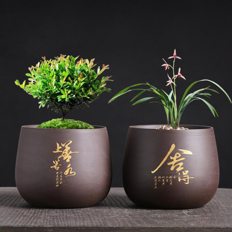 แจกันบอนไซที่เก็บกล้วยไม้กระถา - Bonsai Garden Europe บทวิจารณ์และราคา