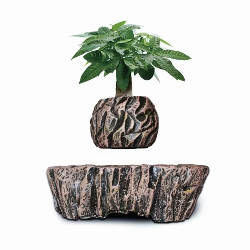 กระถางเรซิ่นลอยได้ด้วยแม่เหล็ก - Bonsai Vertical Garden บทวิจารณ์และราคา