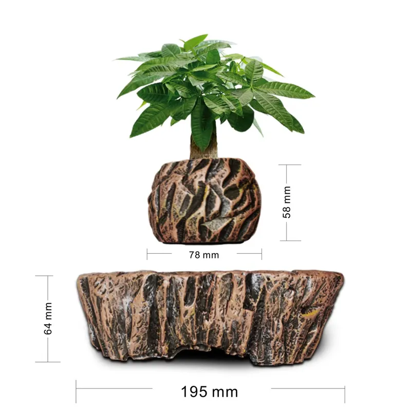 กระถางเรซิ่นลอยได้ด้วยแม่เหล็ก - Bonsai Vertical Garden บทวิจารณ์และราคา