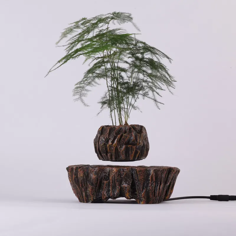 กระถางเรซิ่นลอยได้ด้วยแม่เหล็ก - Bonsai Vertical Garden บทวิจารณ์และราคา
