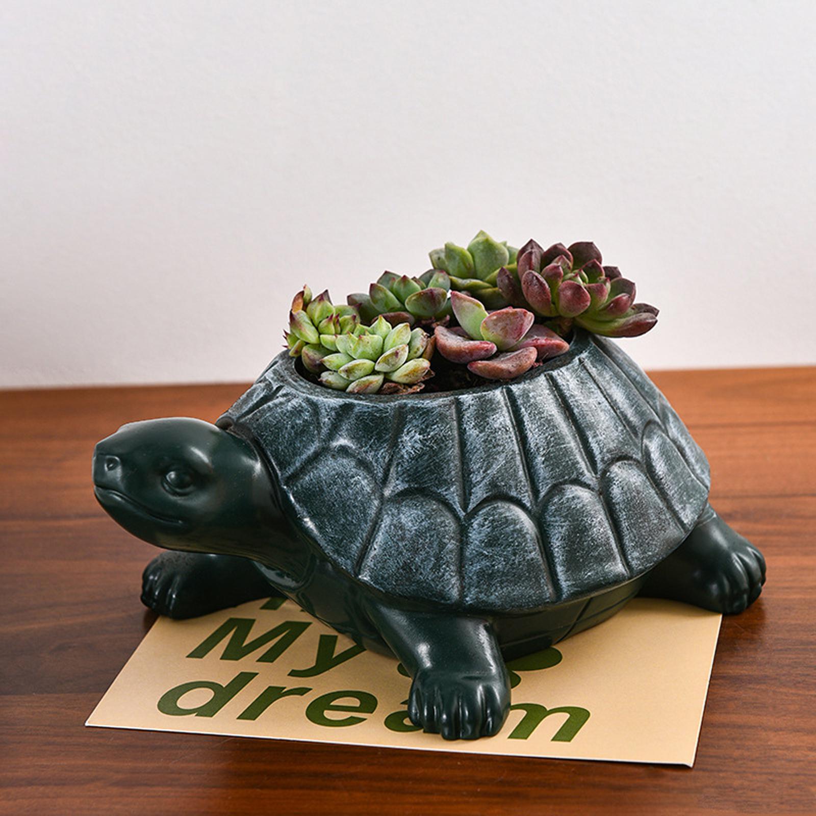 กระถางต้นไม้รูปเต่า ของสะสม ขอ - Bonsai Garden And Cafe บทวิจารณ์และราคา