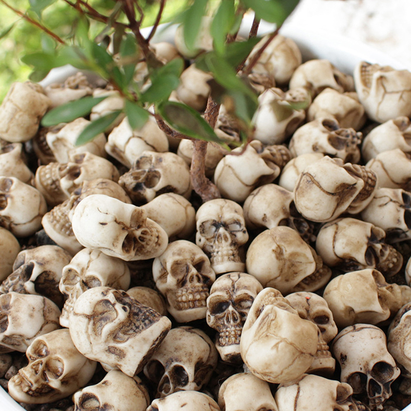 【K】หัวกะโหลกขนาดเล็ก 20 ชิ้น ส - Bonsai Garden Mini บทวิจารณ์และราคา