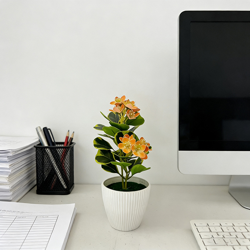 กระถางดอกไม้ลายทางแนวตั้งขนาด  - Bonsai Vertical Garden บทวิจารณ์และราคา