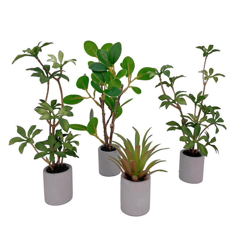 1:6 Dollhouse Miniature กระถาง - Bonsai Garden Zen บทวิจารณ์และราคา