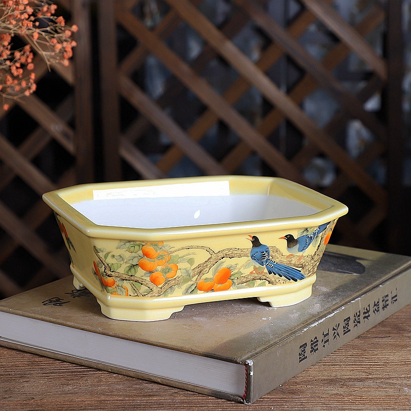 หม้อบอนไซสี่เหลี่ยมผืนผ้าพอร์ซ - Bonsai Garden Chinese Garden บทวิจารณ์และราคา