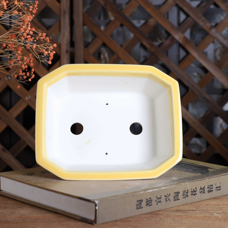 หม้อบอนไซสี่เหลี่ยมผืนผ้าพอร์ซ - Bonsai Garden Chinese Garden บทวิจารณ์และราคา