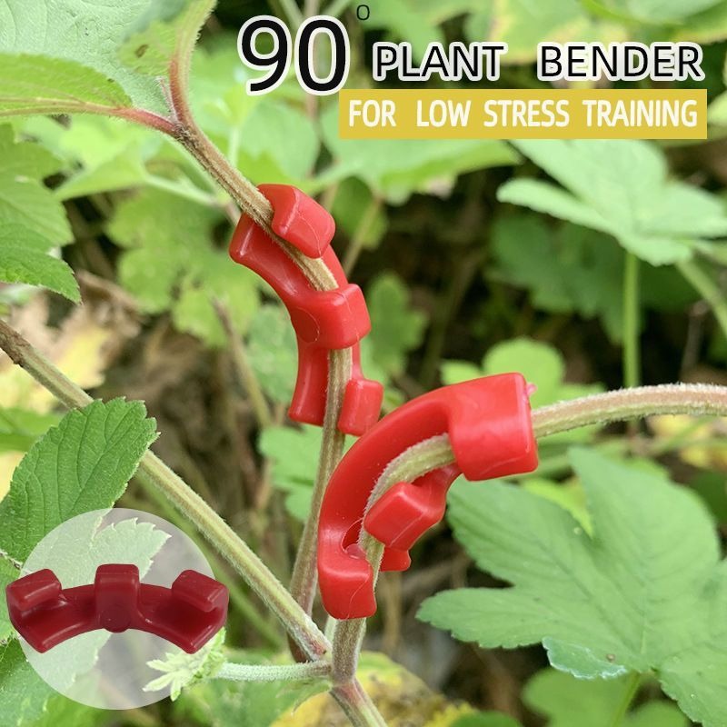 เครื่องมือดัดกิ่งบอนไซ ตะขอเกี - Concave Branch Cutter บทวิจารณ์และราคา
