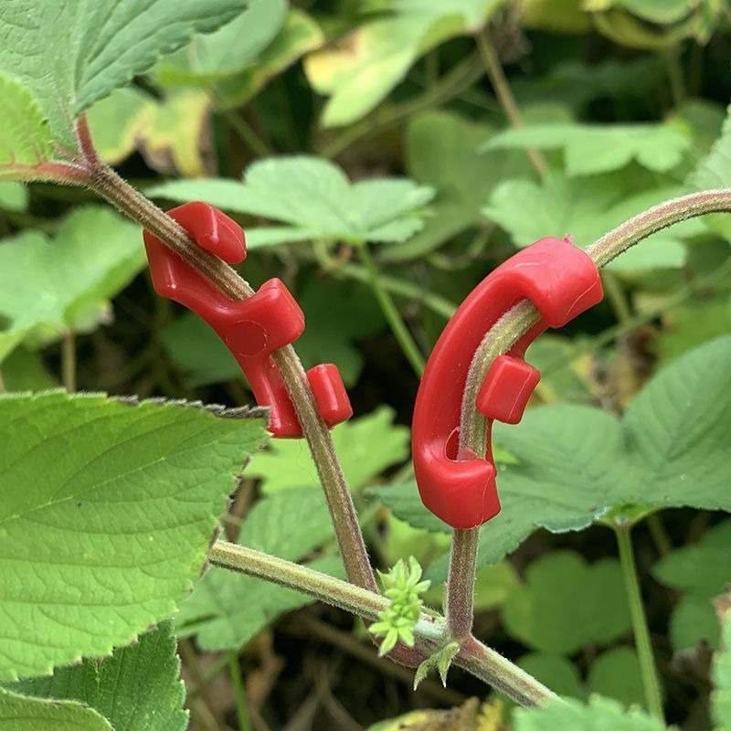 เครื่องมือดัดกิ่งบอนไซ ตะขอเกี - Concave Branch Cutter บทวิจารณ์และราคา