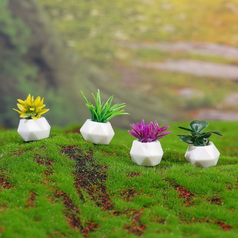 1:12 Dollhouse Miniature Potte - Bonsai Garden Mini บทวิจารณ์และราคา