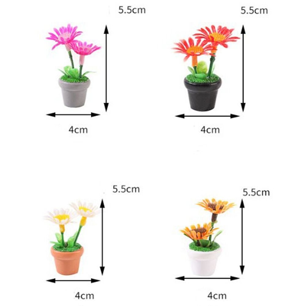1:12 Dollhouse Miniature Potte - Bonsai Garden Mini บทวิจารณ์และราคา
