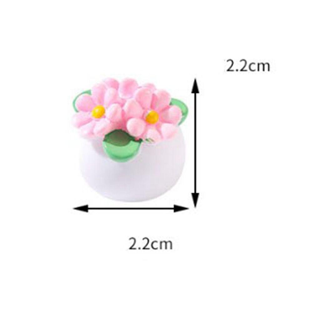 1:12 Dollhouse Miniature Potte - Bonsai Garden Mini บทวิจารณ์และราคา