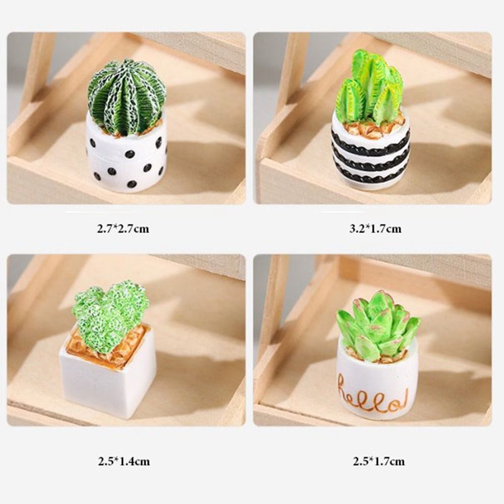 1:12 Dollhouse Miniature Potte - Bonsai Garden Mini บทวิจารณ์และราคา