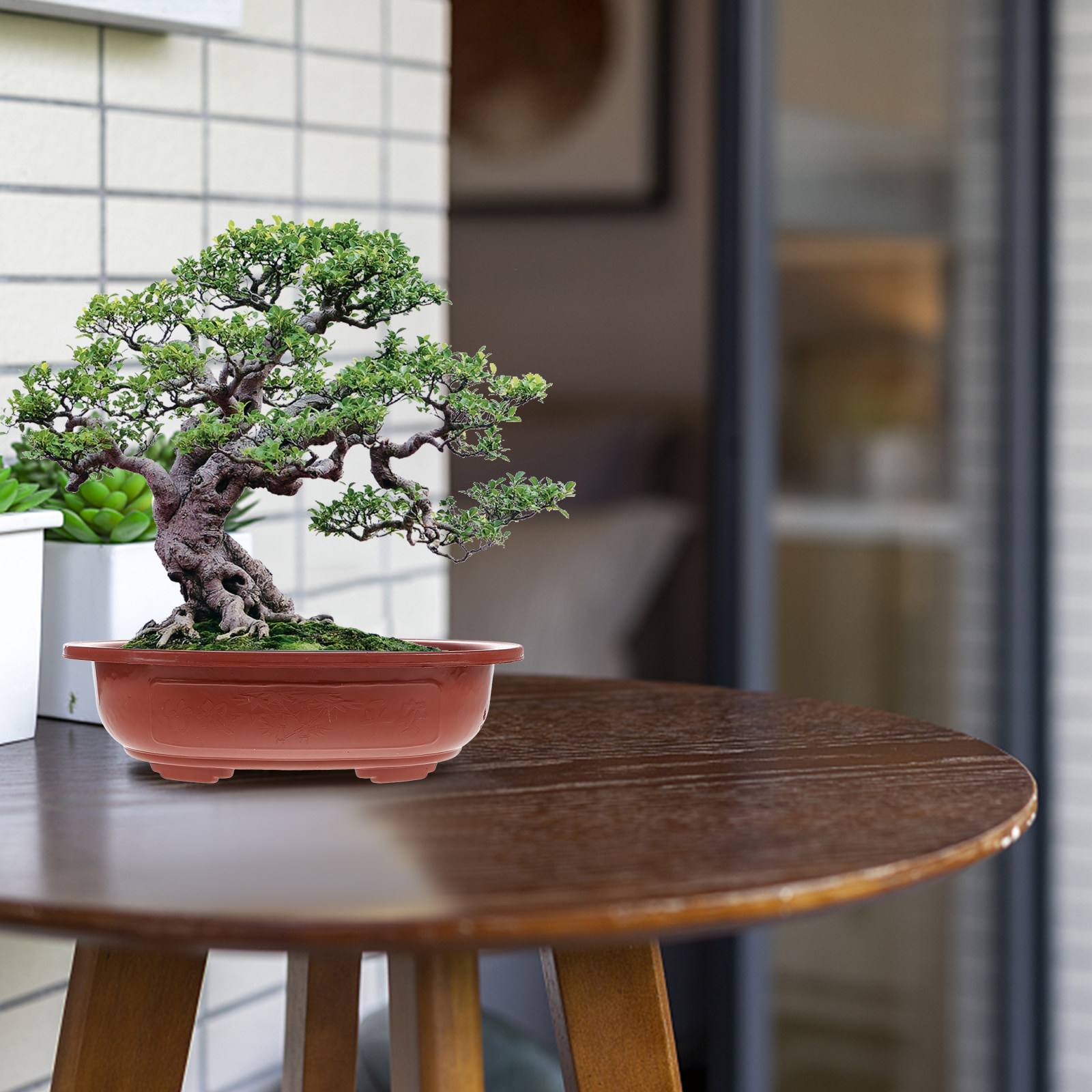 กระถางบอนไซพลาสติกหนา 4 ชิ้น ก - Bonsai Vertical Garden บทวิจารณ์และราคา
