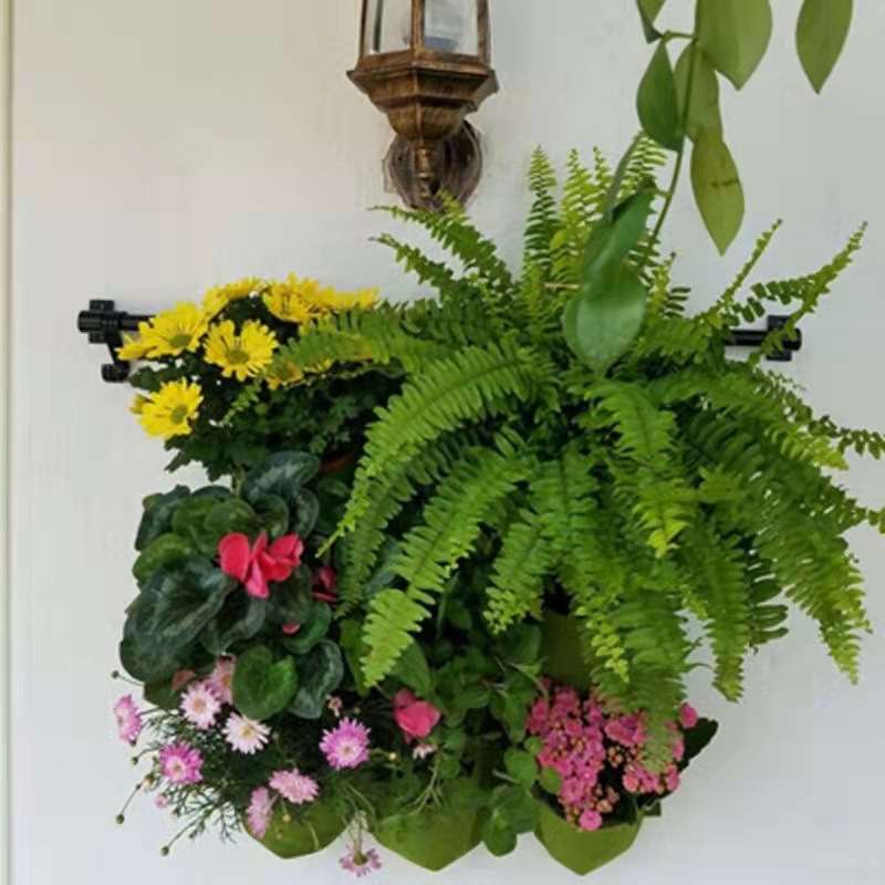 แขวนผนังปลูกกระเป๋าหลายกระเป๋า - Bonsai Vertical Garden บทวิจารณ์และราคา