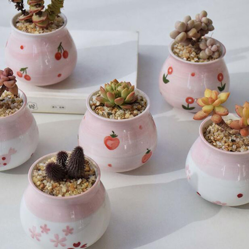 น่ารักหัวใจสาวสีชมพู Series เน - Bonsai Garden Europe บทวิจารณ์และราคา