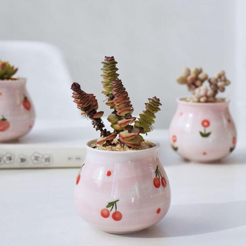 น่ารักหัวใจสาวสีชมพู Series เน - Bonsai Garden Europe บทวิจารณ์และราคา
