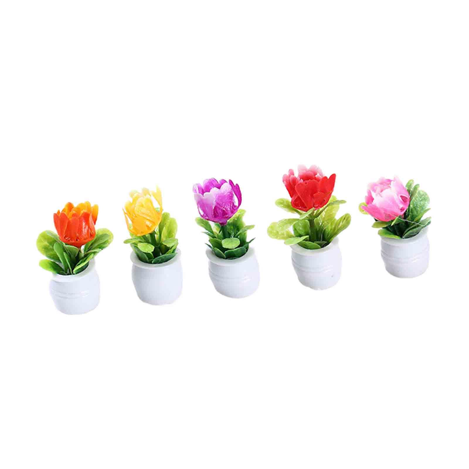 กระถางดอกไม้ขนาดเล็ก 5 ชิ้น สำ - Bonsai Garden Europe บทวิจารณ์และราคา