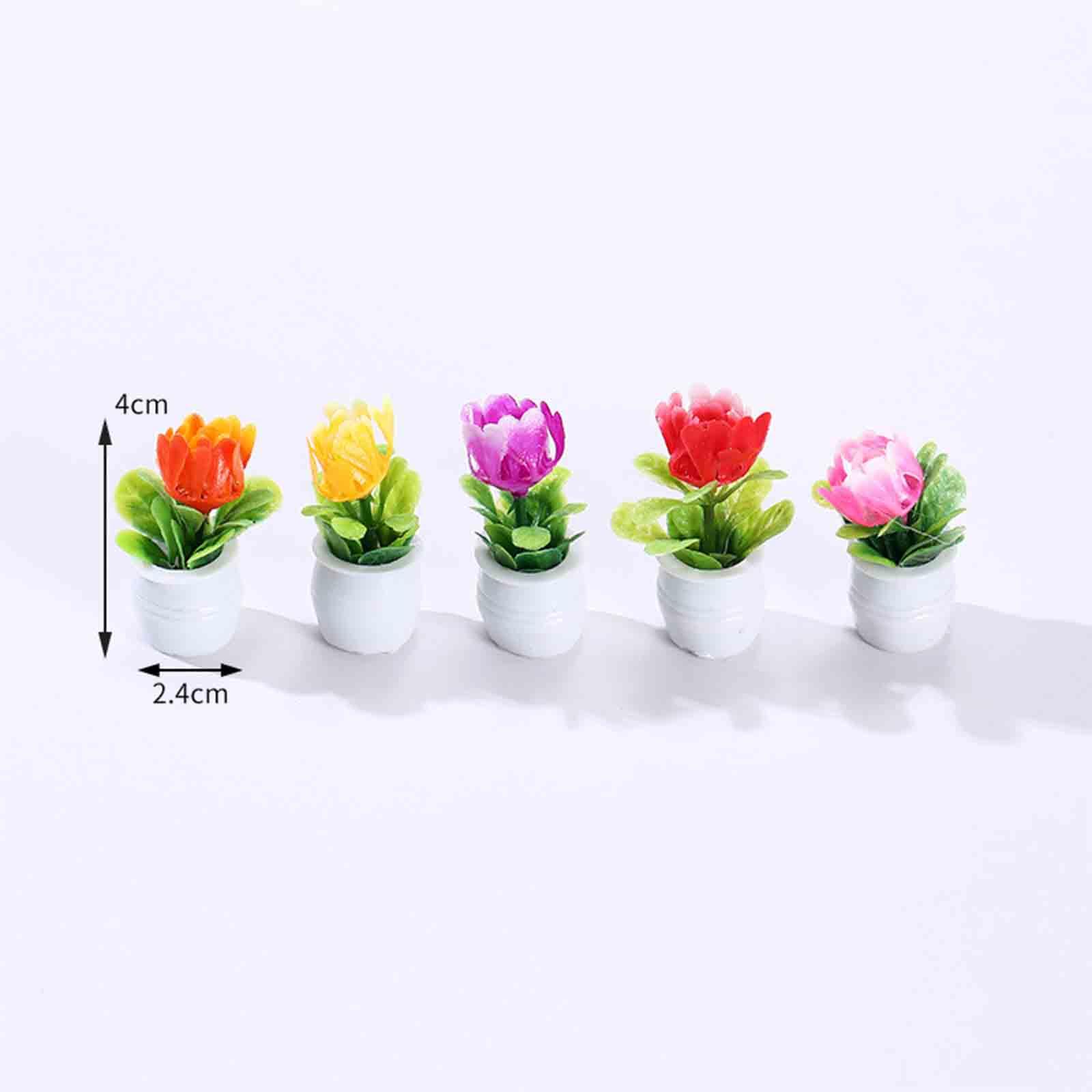 กระถางดอกไม้ขนาดเล็ก 5 ชิ้น สำ - Bonsai Garden Europe บทวิจารณ์และราคา