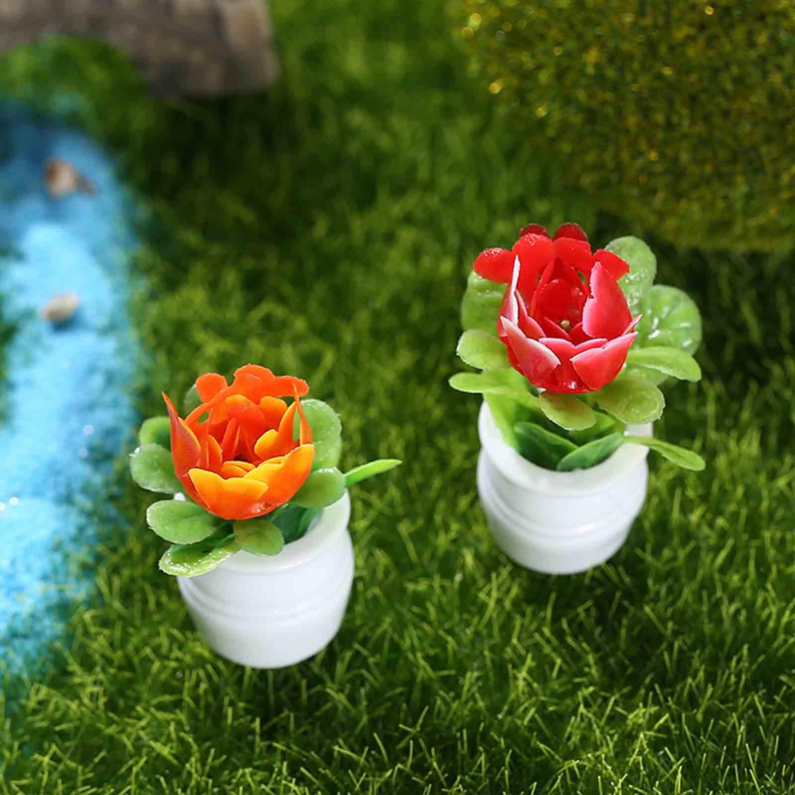 กระถางดอกไม้ขนาดเล็ก 5 ชิ้น สำ - Bonsai Garden Europe บทวิจารณ์และราคา