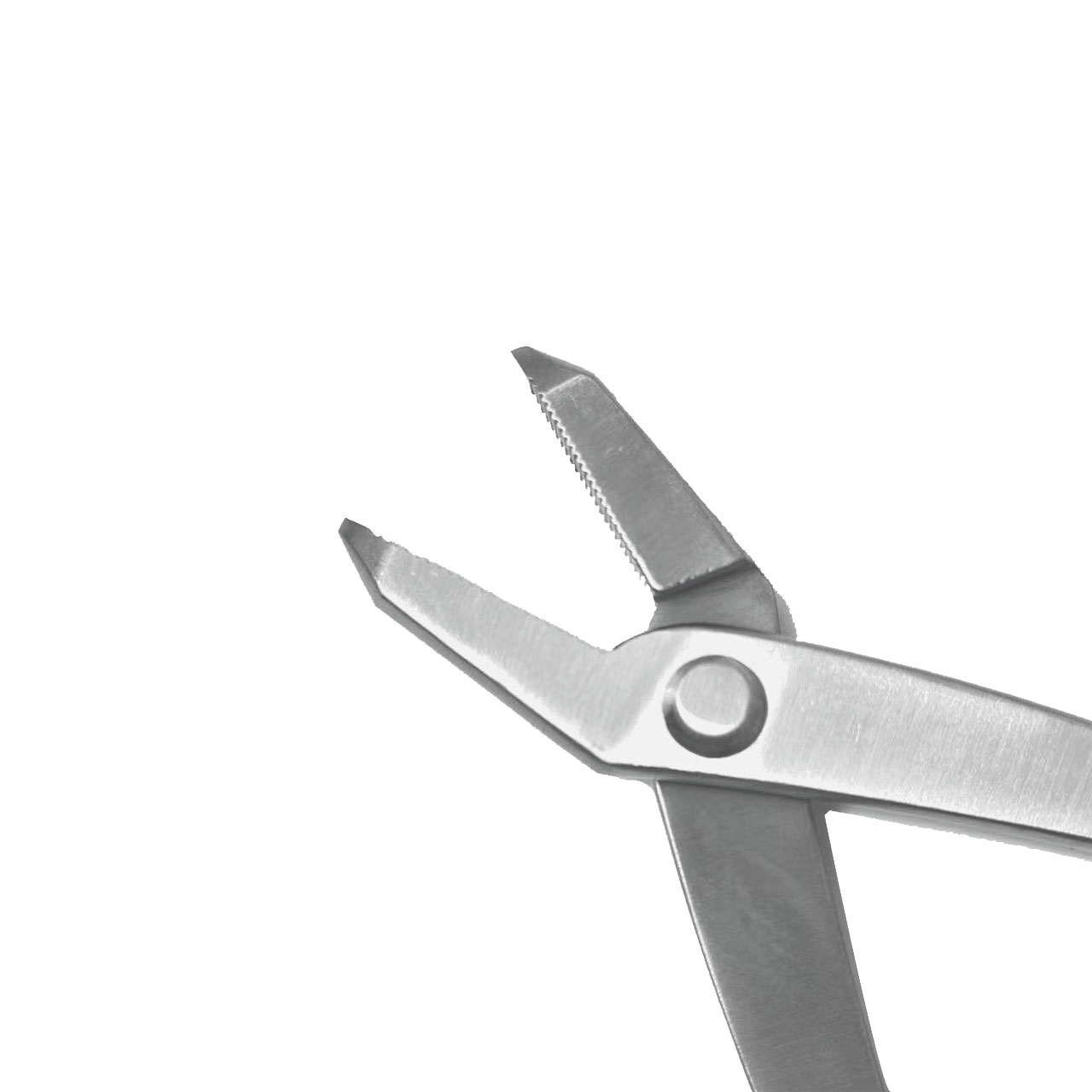 คีมตัดกิ่งสแตนเลส 210 มม. เครื - Concave Branch Cutter บทวิจารณ์และราคา