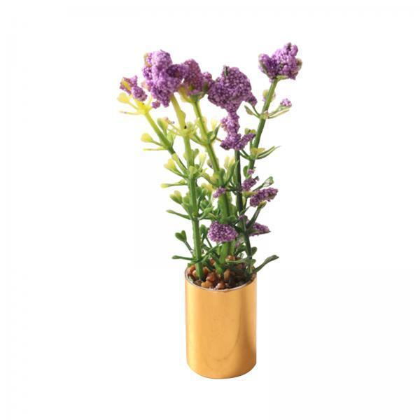 กระถางต้นไม้จิ๋วขนาด 1:12 ต้นบ - Bonsai Garden Europe บทวิจารณ์และราคา