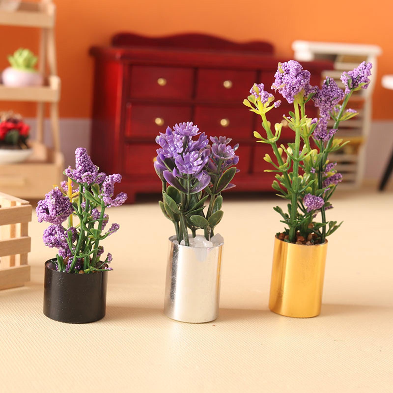 กระถางต้นไม้จิ๋วขนาด 1:12 ต้นบ - Bonsai Garden Europe บทวิจารณ์และราคา