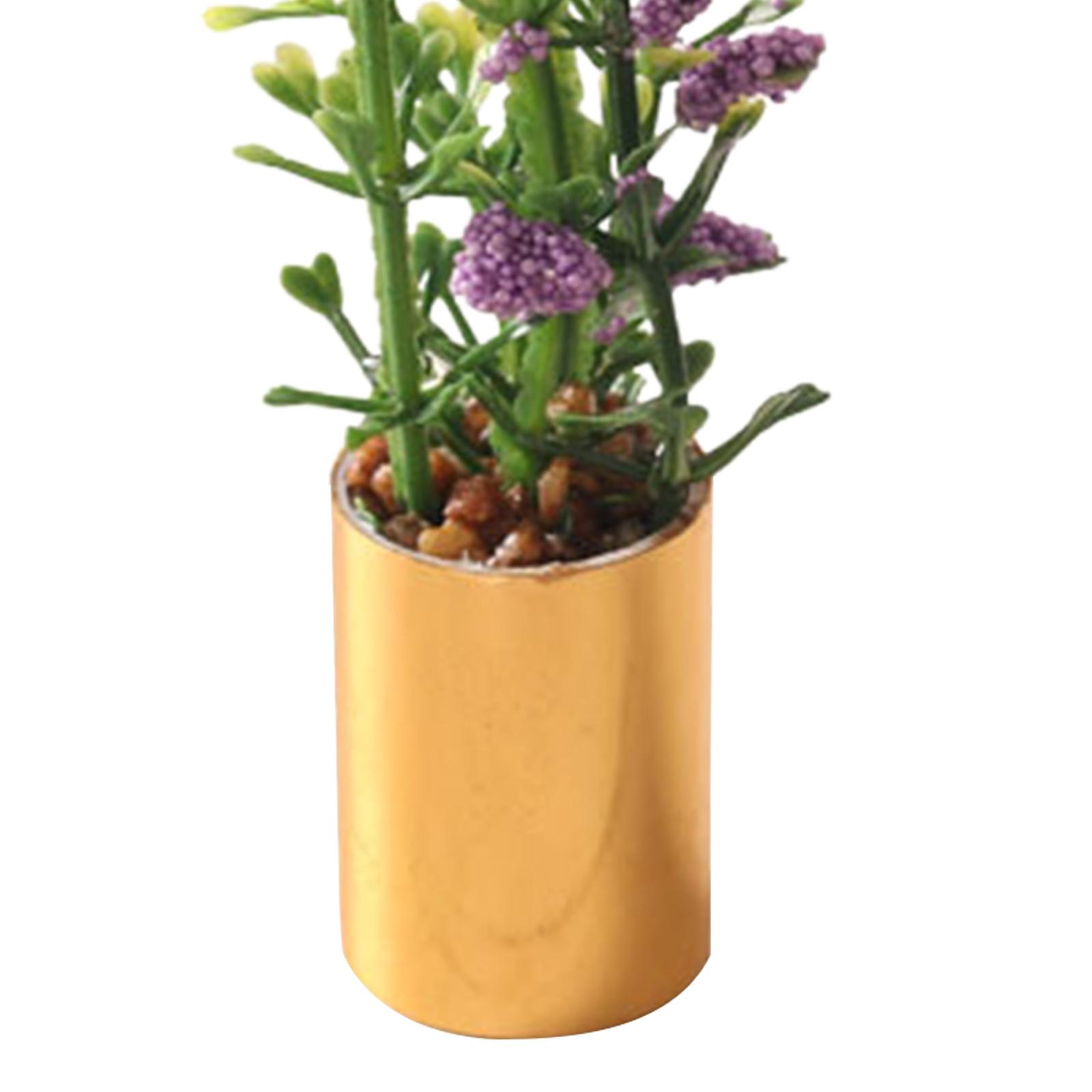 กระถางต้นไม้จิ๋วขนาด 1:12 ต้นบ - Bonsai Garden Europe บทวิจารณ์และราคา