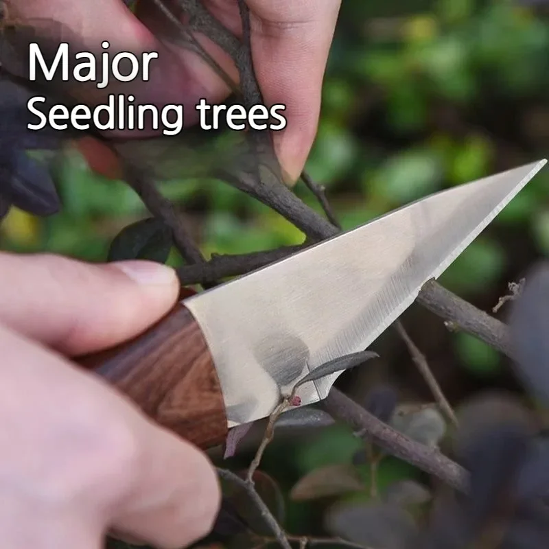 มีดจับไม้พร้อมเปลือกหนัง เหมาะ - Concave Branch Cutter บทวิจารณ์และราคา
