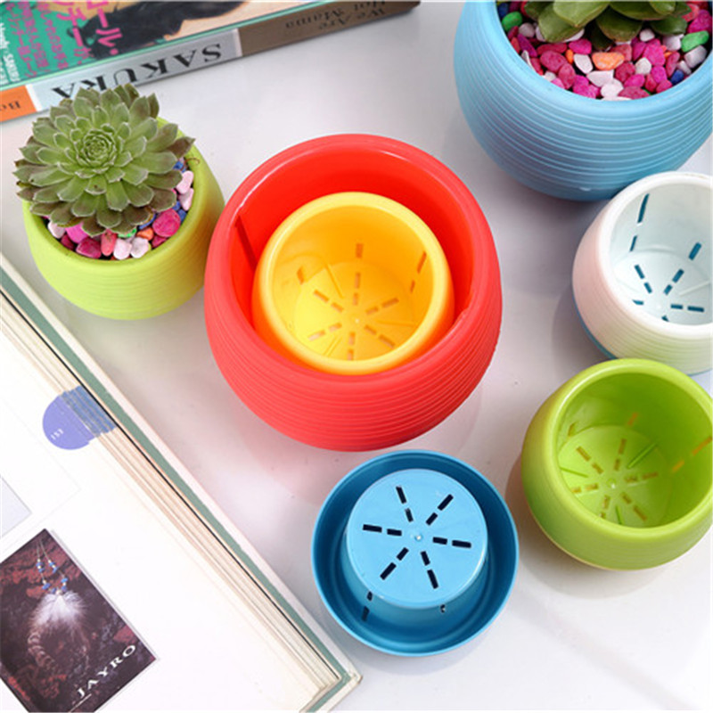 สวนมินิดอกไม้พลาสติกหม้อ Nurse - Bonsai Garden Europe บทวิจารณ์และราคา