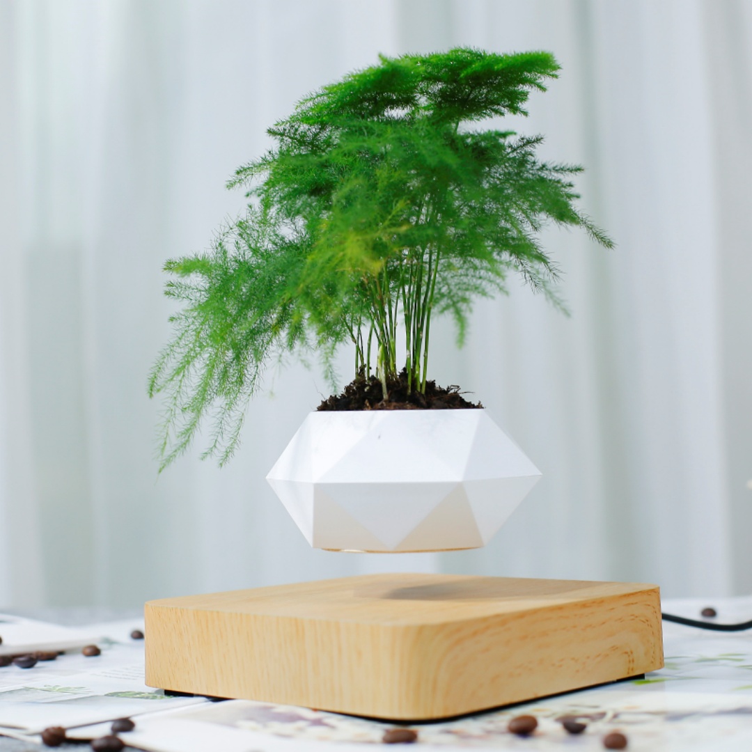 กระถางบอนไซลอยตัวได้, กระถางดอ - Bonsai Garden Chinese Garden บทวิจารณ์และราคา