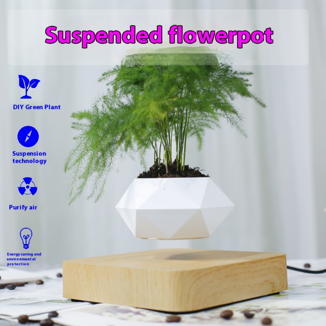 กระถางบอนไซลอยตัวได้, กระถางดอ - Bonsai Garden Chinese Garden บทวิจารณ์และราคา