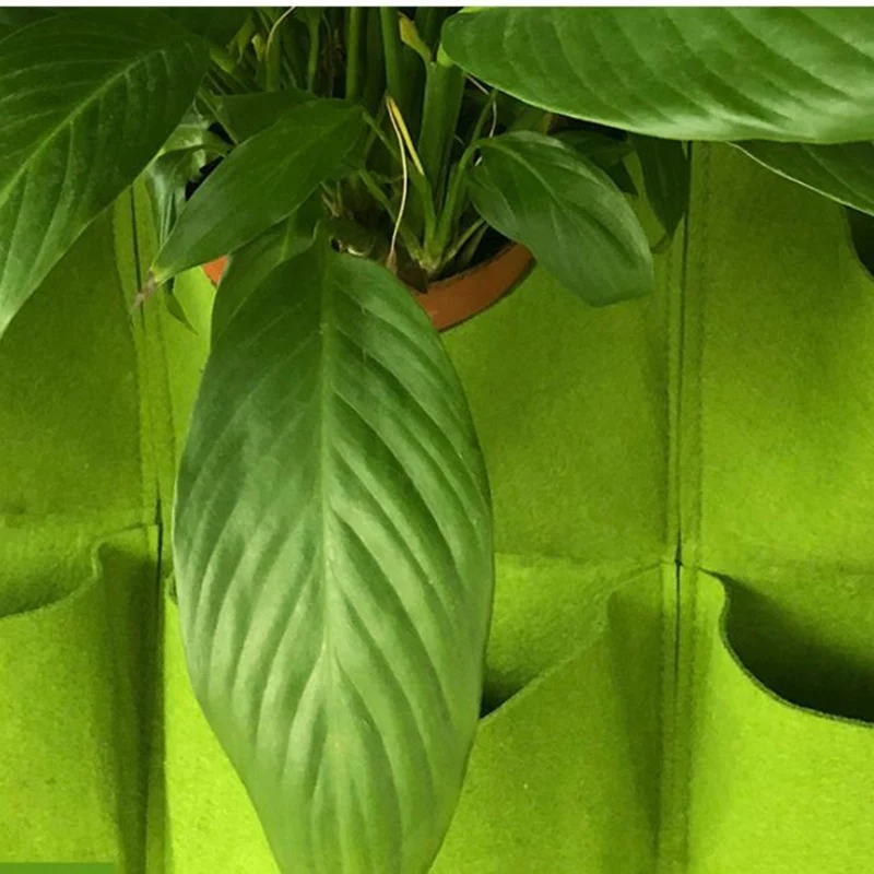 กระถางปลูกต้นไม้แบบแขวนผนัง หล - Bonsai Vertical Garden บทวิจารณ์และราคา