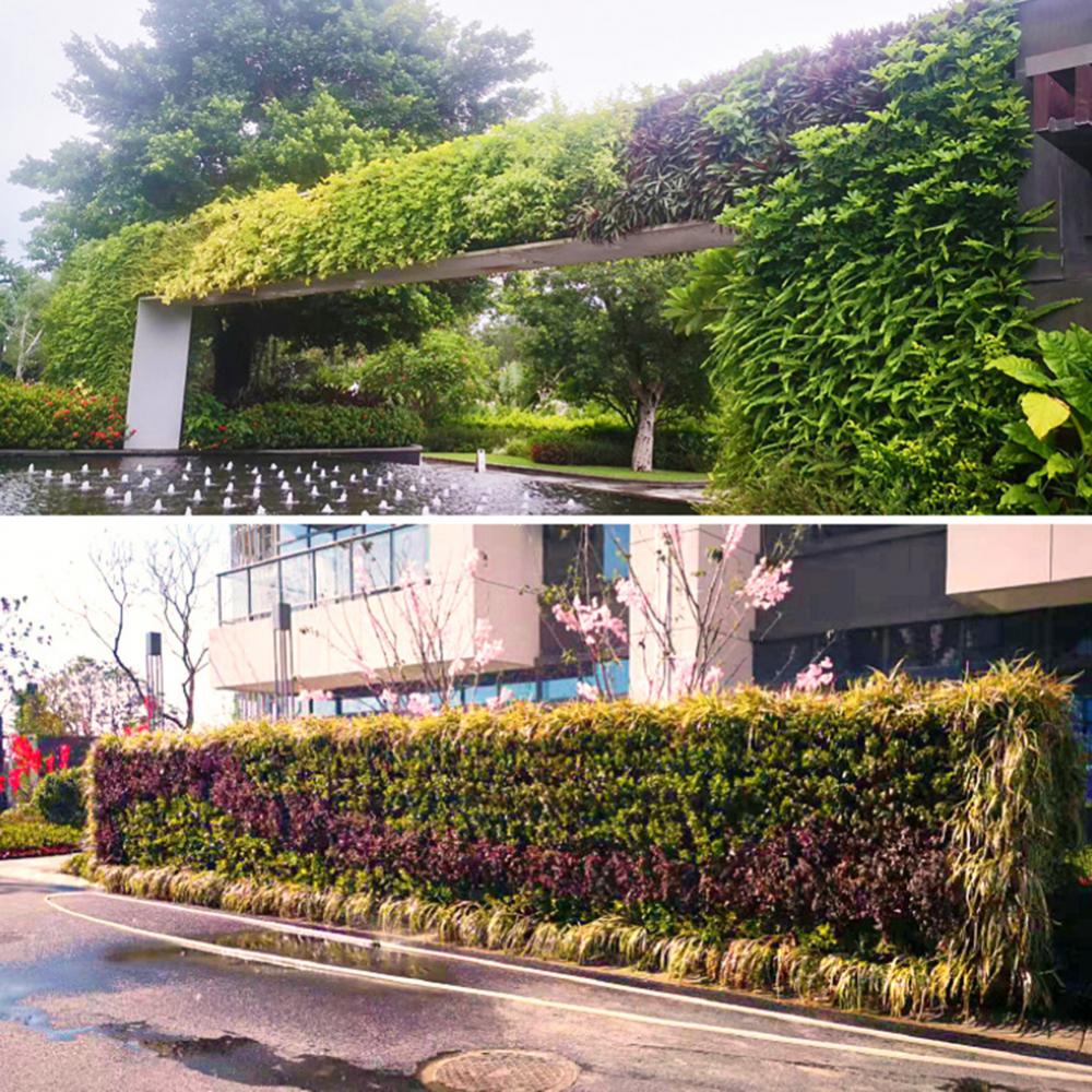 ติดผนังป่ากล่องหลายหลุมดอกไม้ห - Bonsai Vertical Garden บทวิจารณ์และราคา